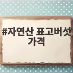 자연산 표고버섯 가격