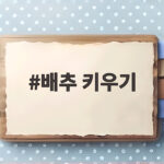 배추 키우기