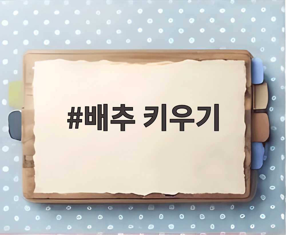 배추 키우기