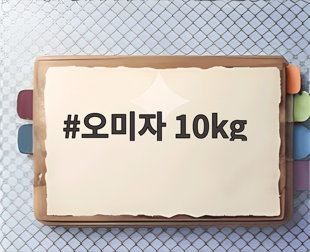 오미자 10kg