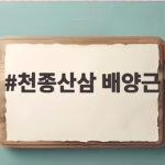 천종산삼 배양근