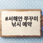 서해 쭈꾸미 낚시 예약 성공 물때 공략 서해안 쭈꾸미 낚시 예약