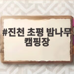 진천 초평 밤나무 캠핑장
