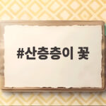 산층층이 꽃 사각 줄기와 층층 구조의 비밀 산층층이 꽃