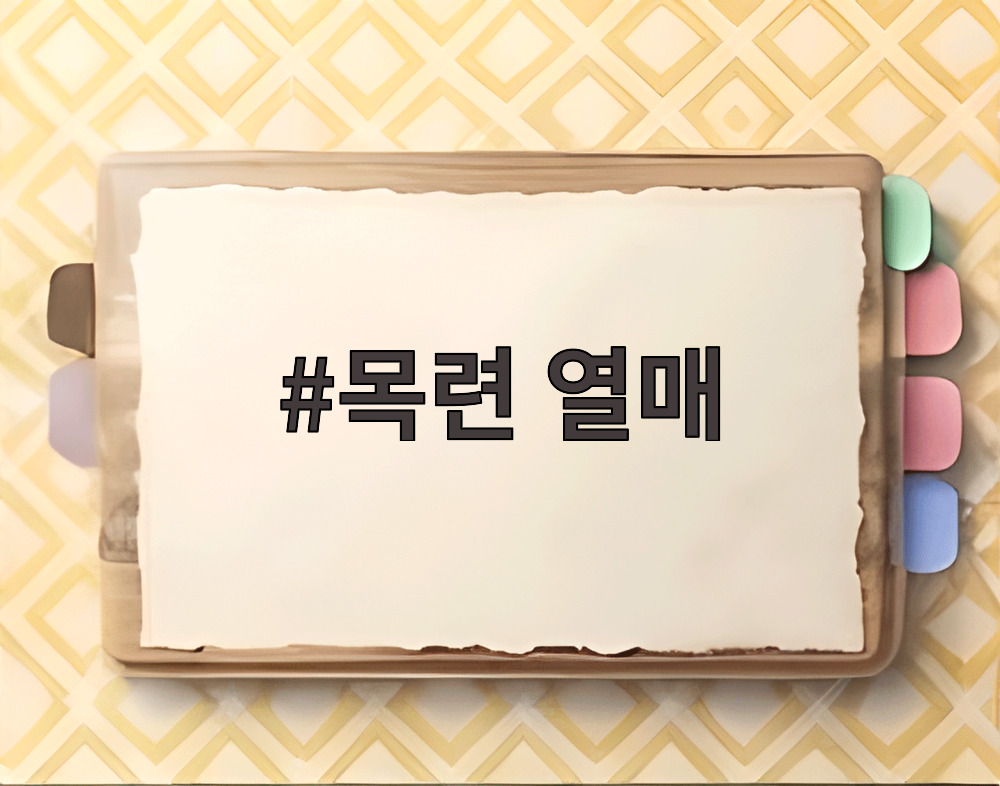 목련 열매