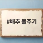 배추 물주기