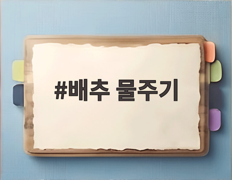 배추 물주기
