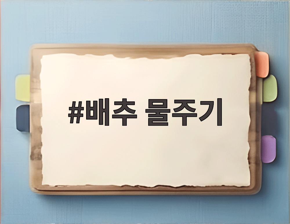 배추 물주기