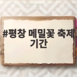 평창 메밀꽃 축제 기간