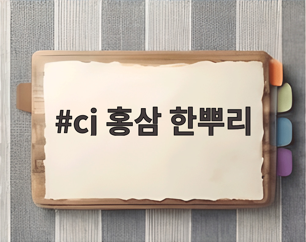 cj 홍삼 한뿌리 선물세트