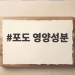 포도 영양성분 효능부터 부작용까지 포도 영양성분