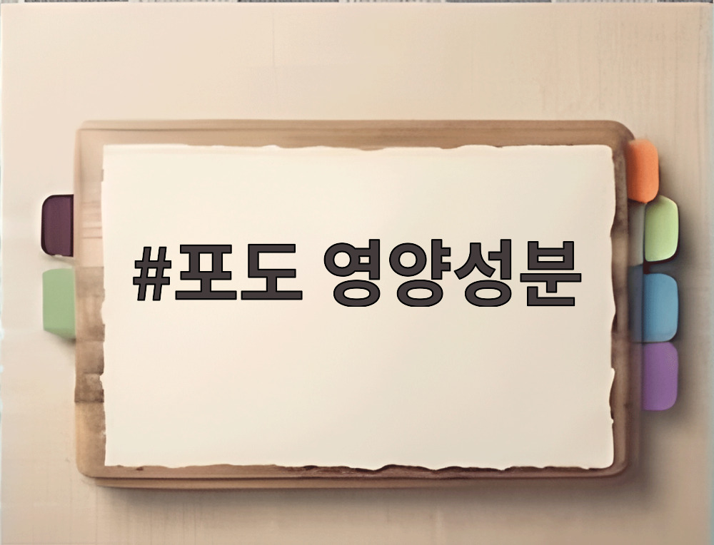 포도 영양성분
