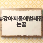 강아지몸에벌레잡는꿈