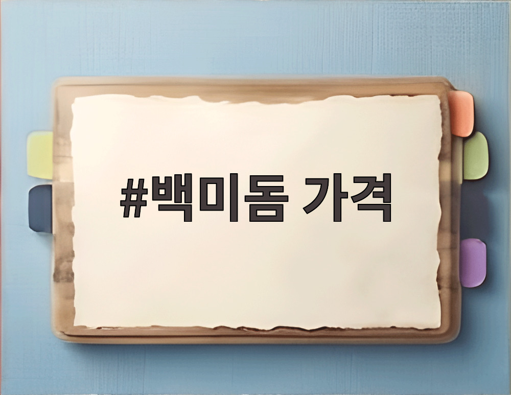 백미돔 가격