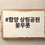 함양 상림공원 꽃무릇 9월에 붉게 함양 상림공원 꽃무릇