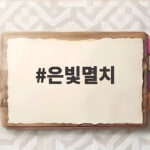 은빛멸치