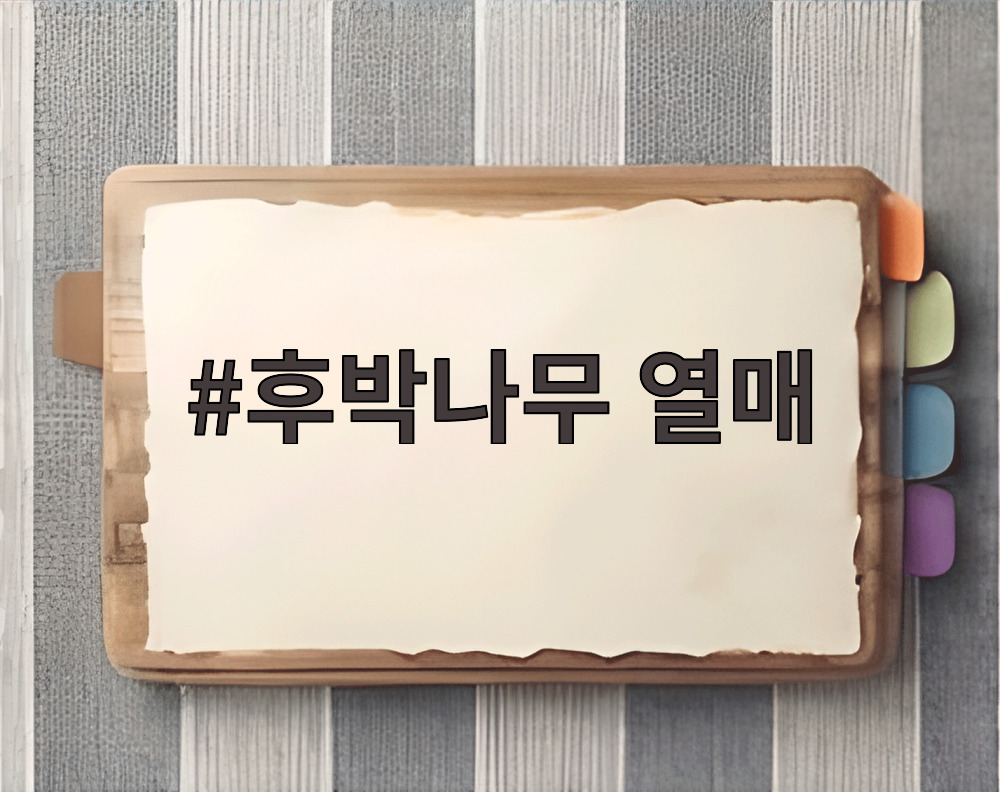 후박나무 열매