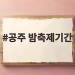 공주 밤축제기간