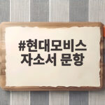 현대모비스 자소서 문항