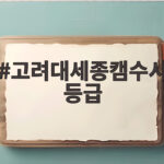고려대세종캠수시등급