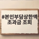 본인부담상한액 초과금 조회 환급방법 본인부담상한액 초과금 조회