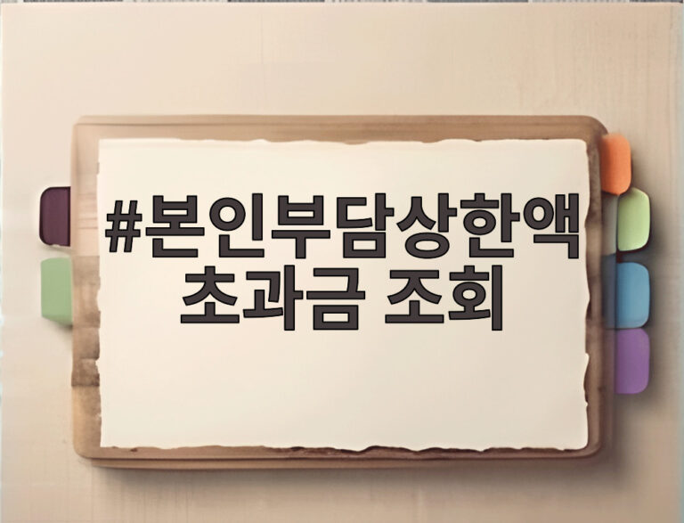 본인부담상한액 초과금 조회