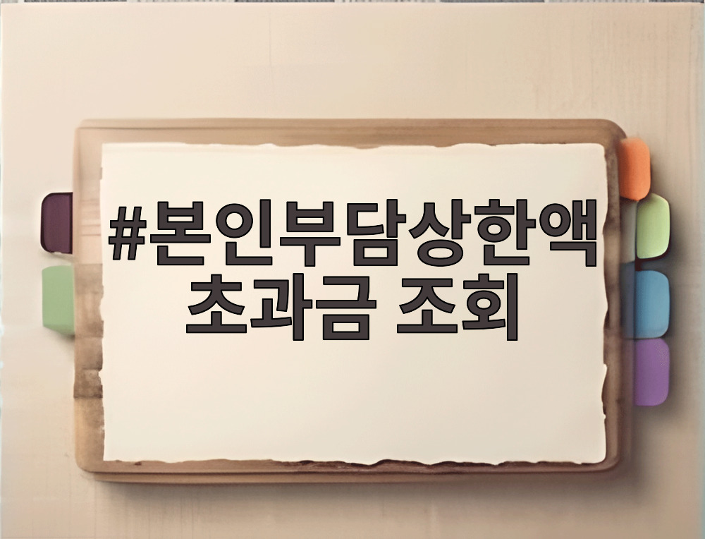 본인부담상한액 초과금 조회