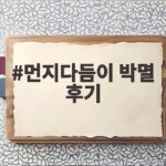 먼지다듬이 박멸 후기