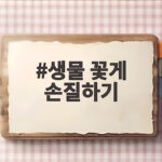 생물 꽃게 손질하기 쉬운 방법과 찜 요리 생물 꽃게 손질하기