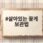 살아있는 꽃게 오래 싱싱하게 보관하는 법 살아있는 꽃게 보관법