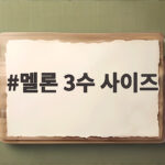 멜론 3수 사이즈 고르는 법과 후숙 팁 멜론 3수 사이즈