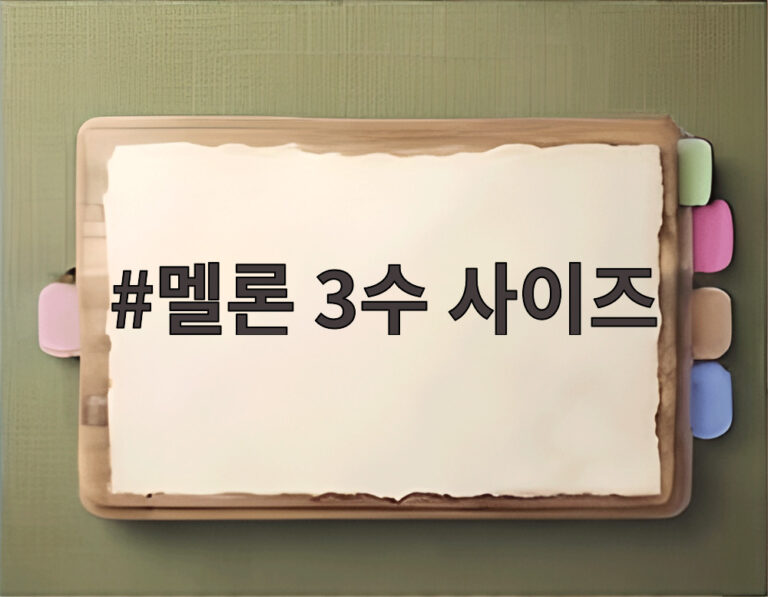 멜론 3수 사이즈