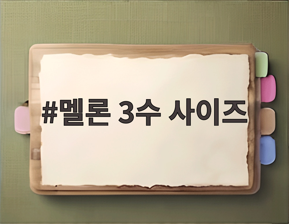 멜론 3수 사이즈