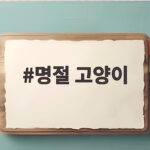명절 고양이 혼자 집에 두고 외출 준비 명절 고양이