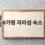 가평 자라섬 숙소 추천 꿀팁 가평 자라섬 숙소