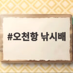 오천항 낚시배 가을 쭈꾸미 출조 준비 오천항 낚시배