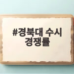 경북대 수시 경쟁률 학과별 전략 정리 경북대 수시 경쟁률