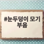 눈두덩이 모기 부음 빠른 대처법 눈두덩이 모기 부음