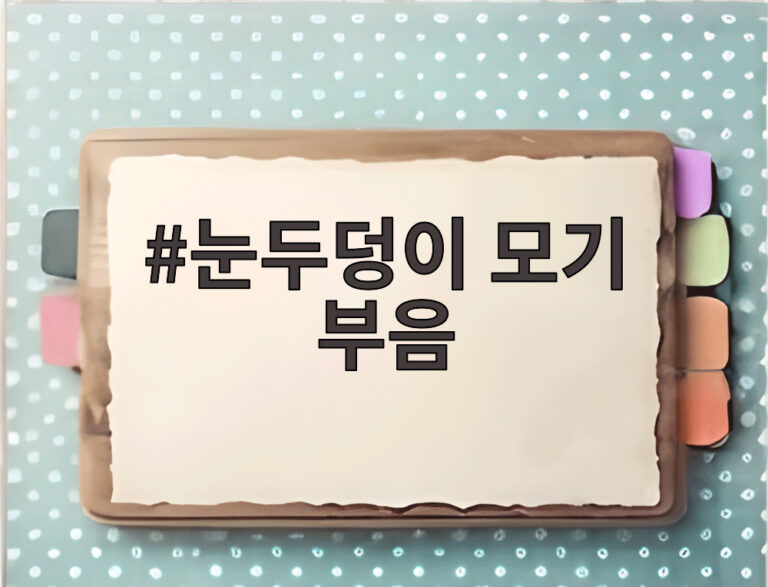 눈두덩이 모기 부음