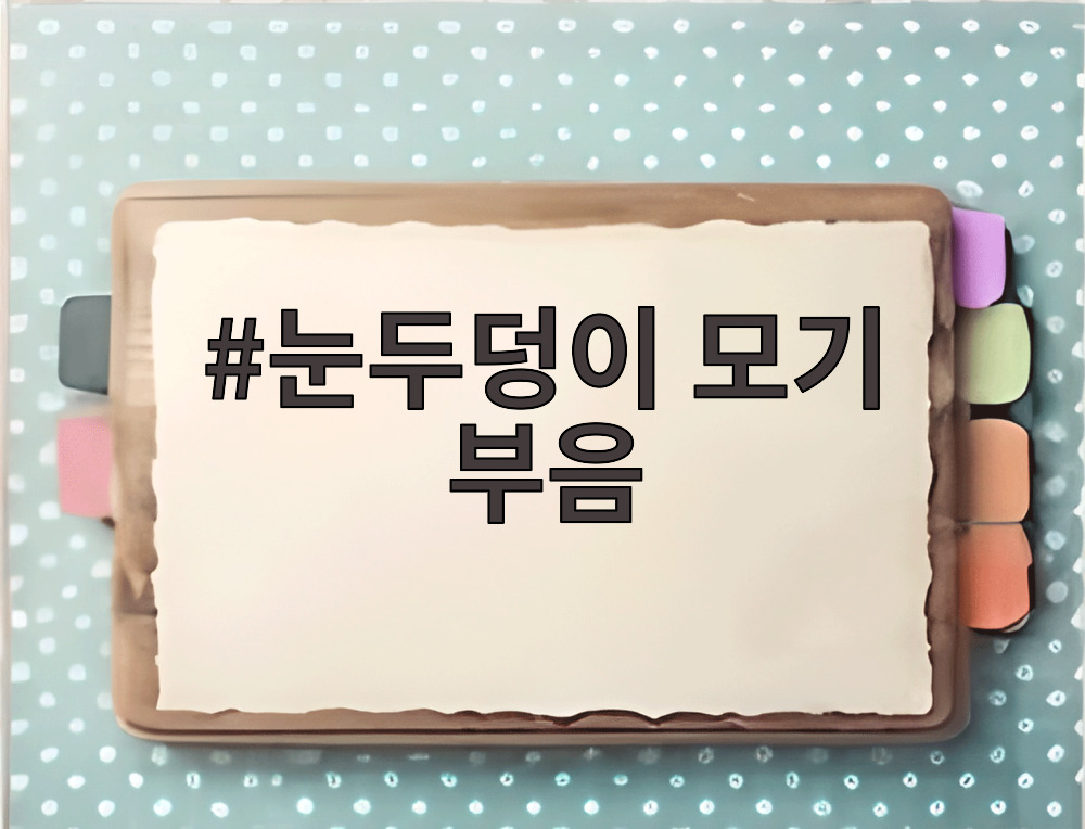 눈두덩이 모기 부음