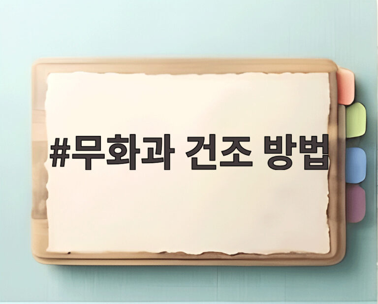 무화과 건조 방법