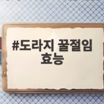 도라지 꿀절임 효능 숙성 기간별 맛과 건강 도라지 꿀절임 효능