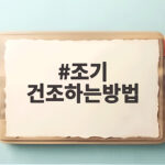 조기 건조하는방법 반건조 7시간 완성 조기 건조하는방법