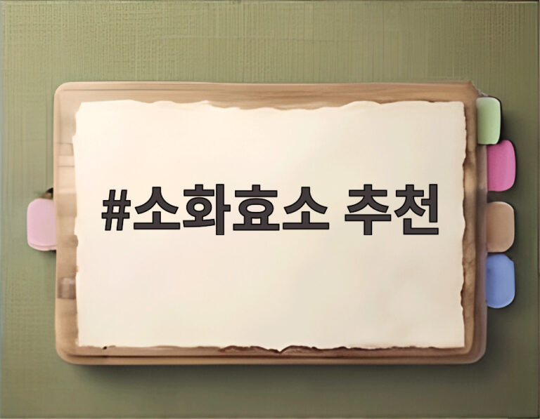 소화효소 추천