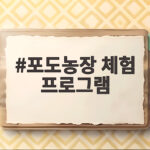9월 포도농장 체험 프로그램 추천 포도농장 체험 프로그램