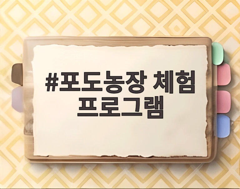 포도농장 체험 프로그램