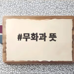 무화과 뜻 꽃이 없는 과일의 반전 무화과 뜻