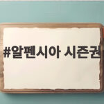 알펜시아 시즌권
