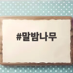 말밤나무 열매 먹으면 안 되는 이유와 구별법 말밤나무