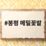 봉평 메밀꽃밭
